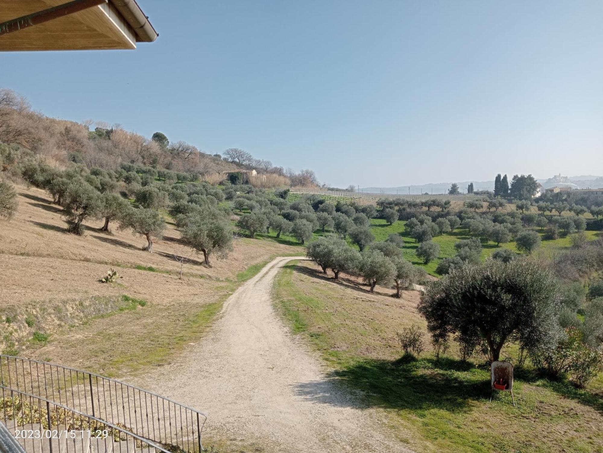 Tenuta Ornella Bed & Breakfast Ripa Teatina Exterior photo